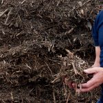 Rindenmulch